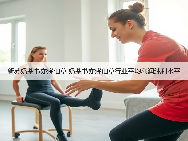 新苏奶茶书亦烧仙草 奶茶书亦烧仙草行业平均利润纯利水平