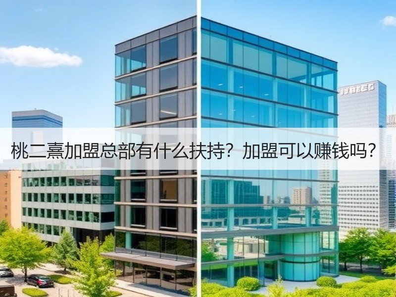 桃二熹加盟总部有什么扶持？加盟可以赚钱吗？