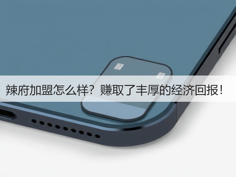 辣府加盟怎么样？赚取了丰厚的经济回报！