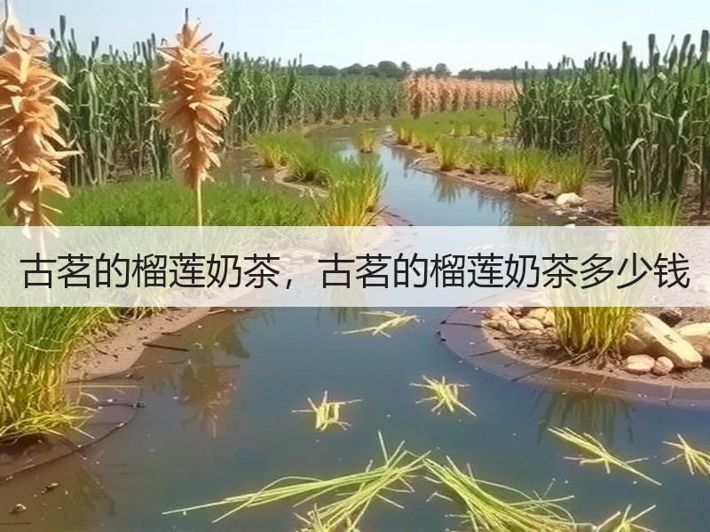 古茗的榴莲奶茶，古茗的榴莲奶茶多少钱