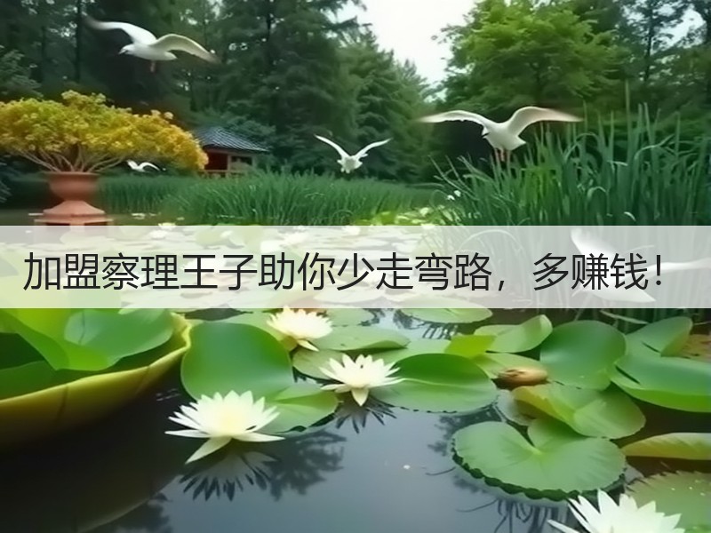 加盟察理王子助你少走弯路，多赚钱！