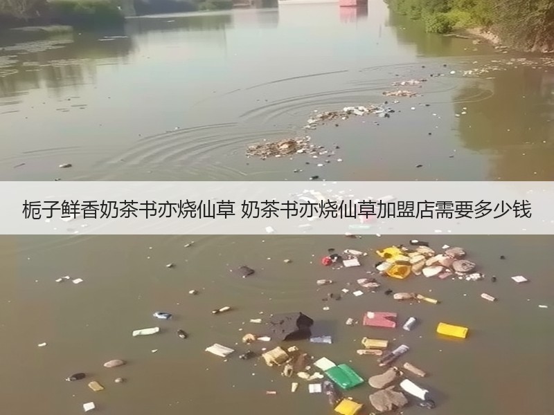 栀子鲜香奶茶书亦烧仙草 奶茶书亦烧仙草加盟店需要多少钱