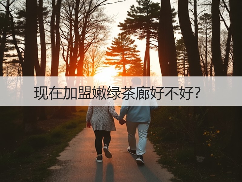 现在加盟嫩绿茶廊好不好？