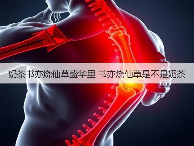 奶茶书亦烧仙草盛华里 书亦烧仙草是不是奶茶