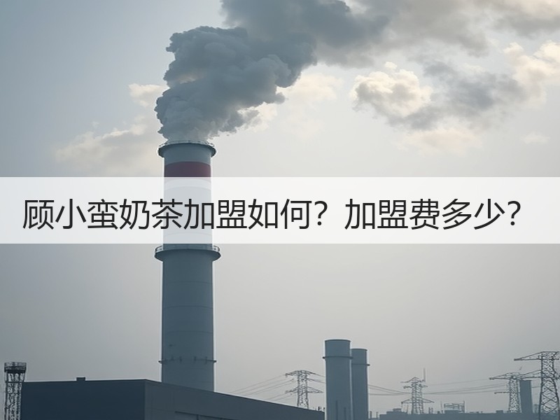 顾小蛮奶茶加盟如何？加盟费多少？
