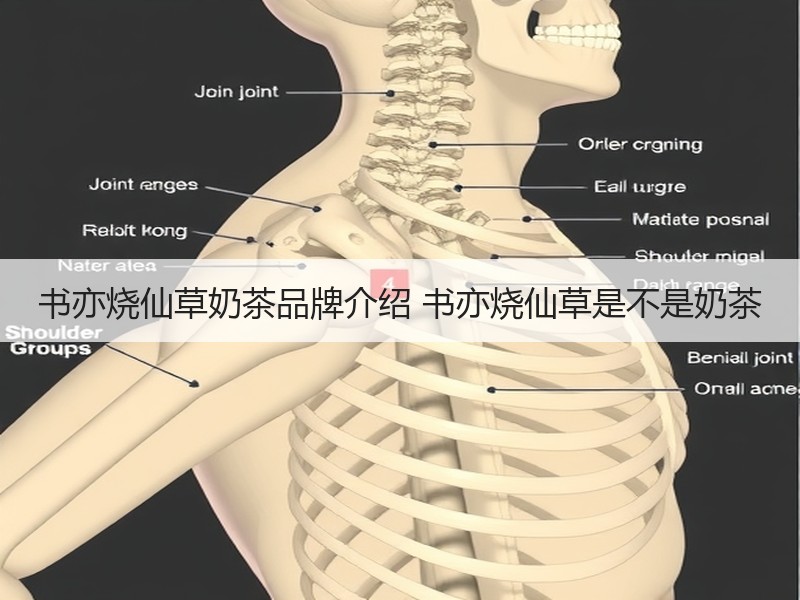 书亦烧仙草奶茶品牌介绍 书亦烧仙草是不是奶茶