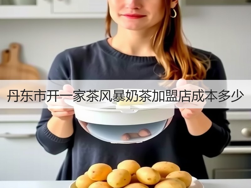 丹东市开一家茶风暴奶茶加盟店成本多少