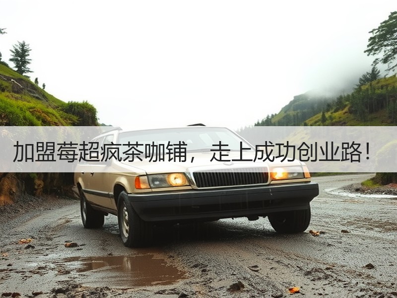加盟莓超疯茶咖铺，走上成功创业路！