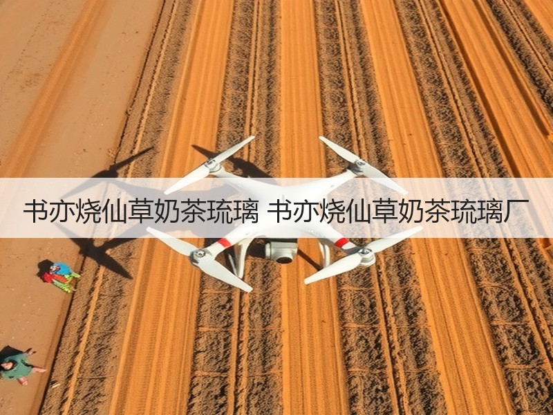 书亦烧仙草奶茶琉璃 书亦烧仙草奶茶琉璃厂