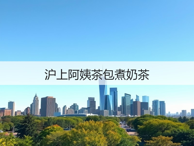 沪上阿姨茶包煮奶茶