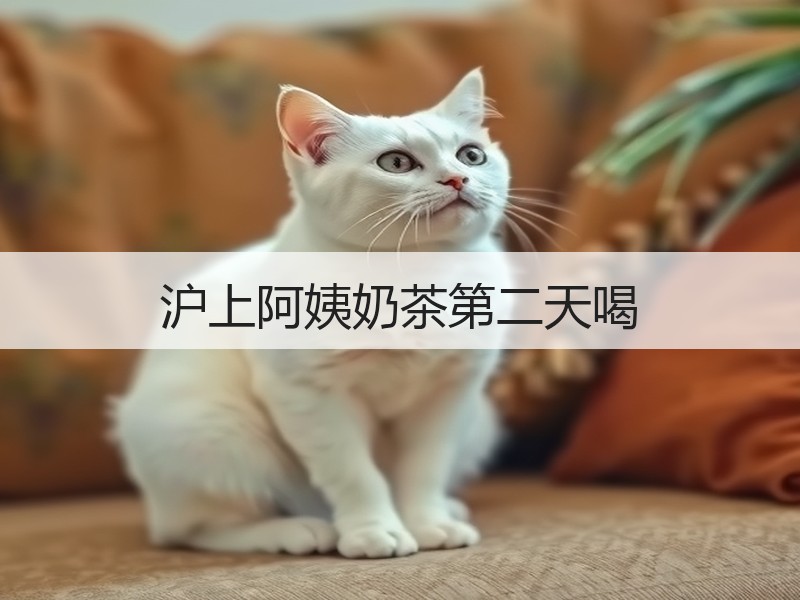 沪上阿姨奶茶第二天喝