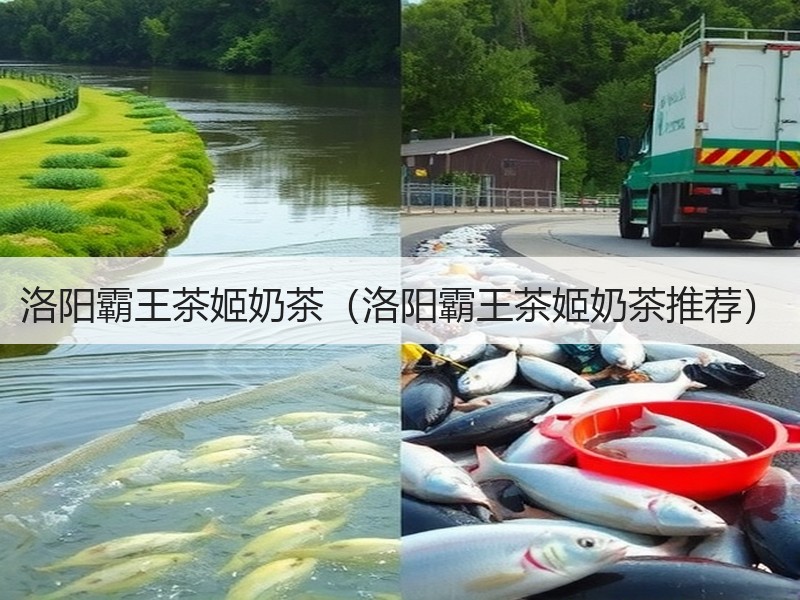 洛阳霸王茶姬奶茶（洛阳霸王茶姬奶茶推荐）