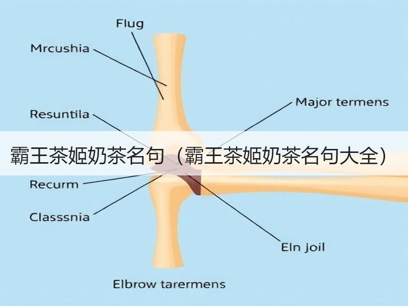 霸王茶姬奶茶名句（霸王茶姬奶茶名句大全）