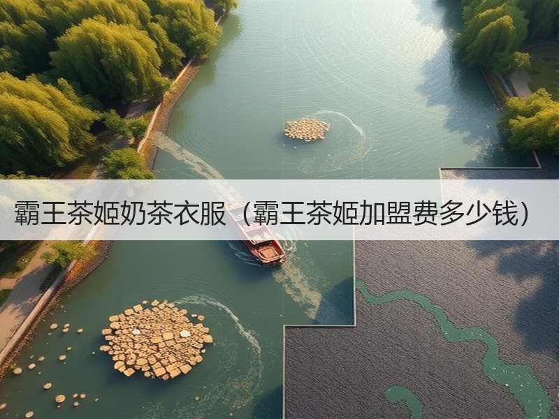 霸王茶姬奶茶衣服（霸王茶姬加盟费多少钱）