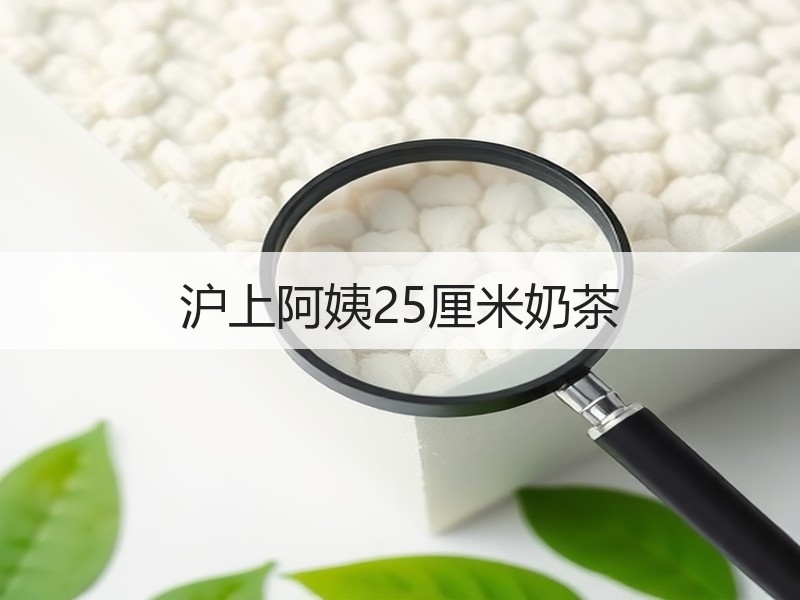 沪上阿姨25厘米奶茶
