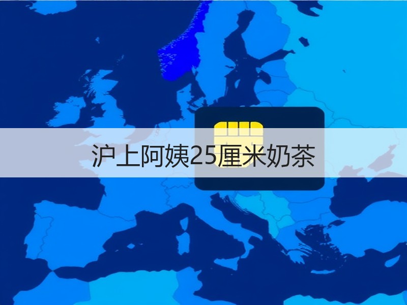 沪上阿姨25厘米奶茶