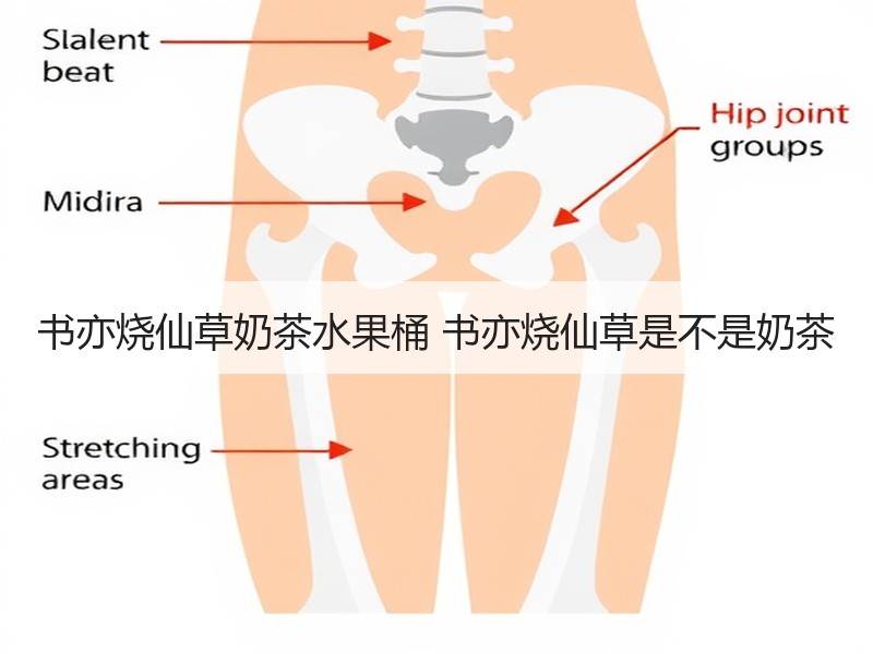 书亦烧仙草奶茶水果桶 书亦烧仙草是不是奶茶