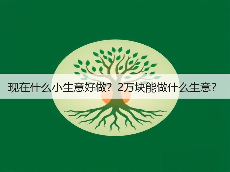 现在什么小生意好做？2万块能做什么生意？