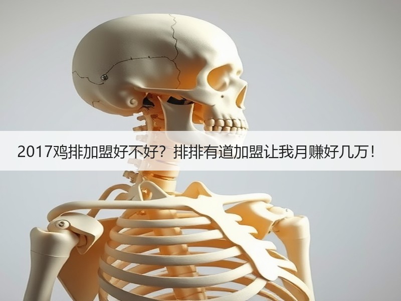 2017鸡排加盟好不好？排排有道加盟让我月赚好几万！