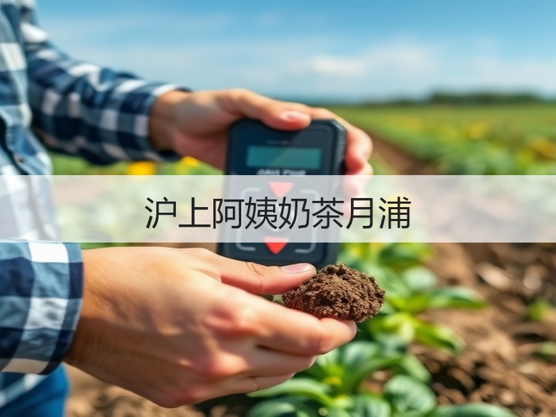 沪上阿姨奶茶月浦