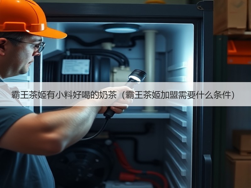 霸王茶姬有小料好喝的奶茶（霸王茶姬加盟需要什么条件）